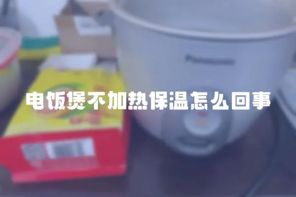 電飯煲不加熱保溫怎么回事