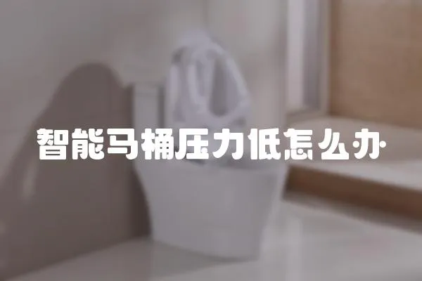 智能馬桶壓力低怎么辦