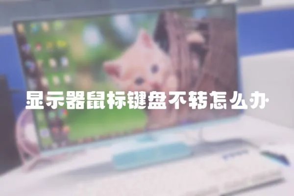 顯示器鼠標鍵盤不轉怎么辦