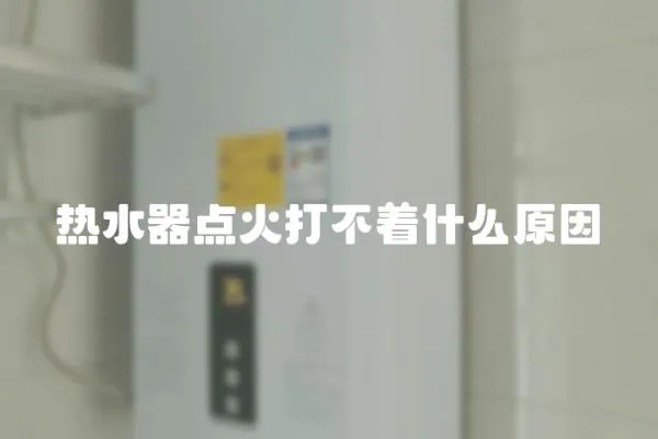 熱水器點(diǎn)火打不著什么原因