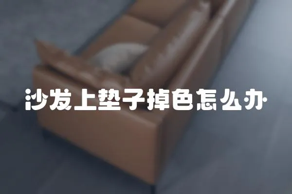 沙發(fā)上墊子掉色怎么辦