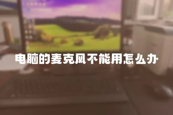 電腦的麥克風(fēng)不能用怎么辦
