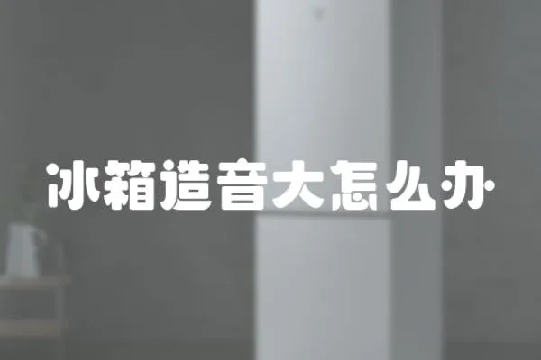 冰箱造音大怎么辦