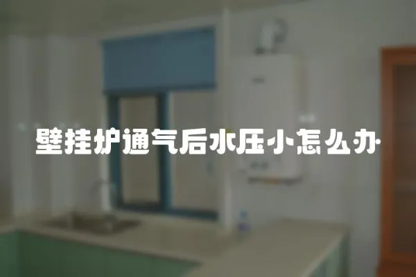 壁掛爐通氣后水壓小怎么辦