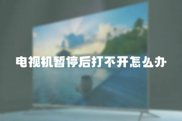 電視機暫停后打不開怎么辦