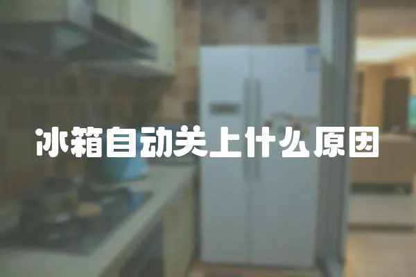 冰箱自動關上什么原因