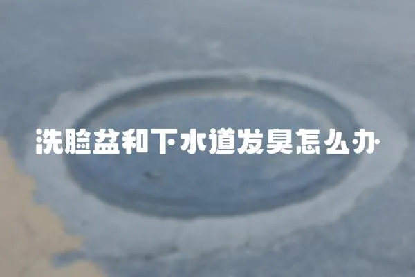 洗臉盆和下水道發(fā)臭怎么辦