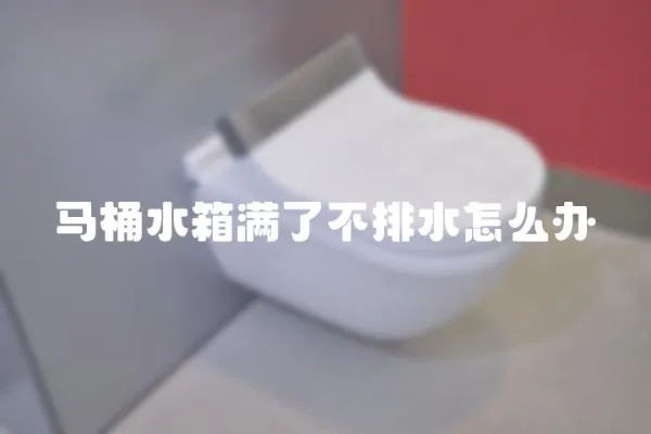 馬桶水箱滿了不排水怎么辦