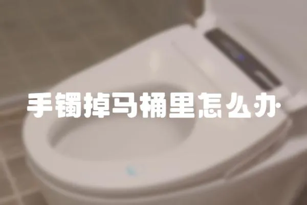 手镯掉马桶里怎么办