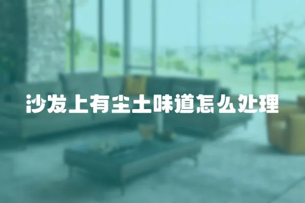 沙發(fā)上有塵土味道怎么處理