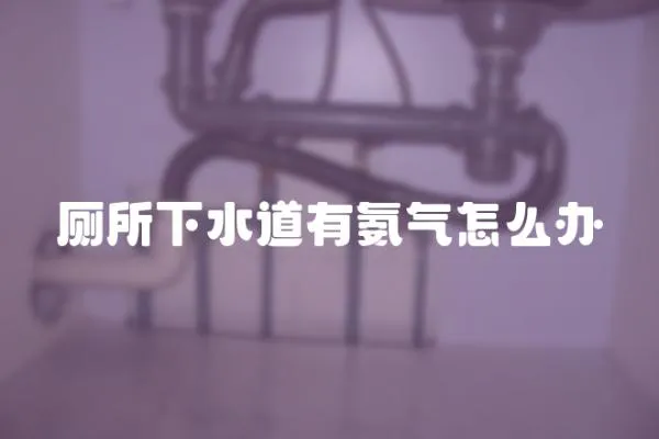 廁所下水道有氨氣怎么辦