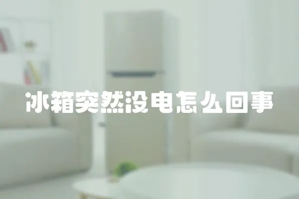 冰箱突然沒電怎么回事