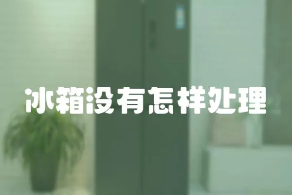 冰箱沒有怎樣處理