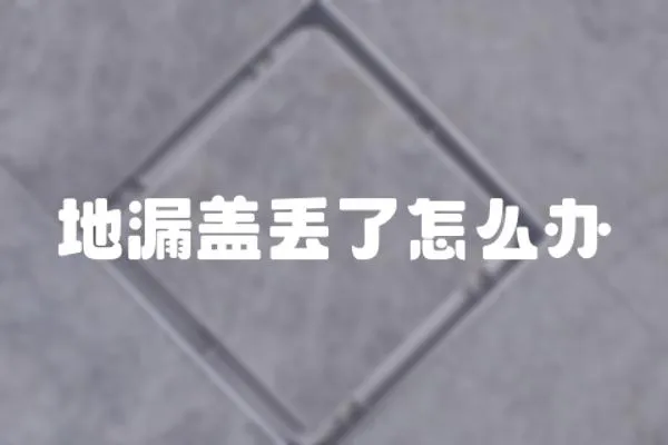 地漏蓋丟了怎么辦