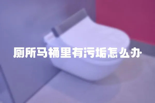 廁所馬桶里有污垢怎么辦
