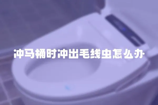 沖馬桶時沖出毛線蟲怎么辦