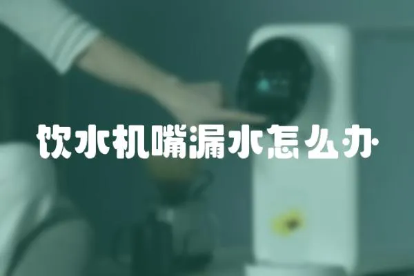 飲水機嘴漏水怎么辦