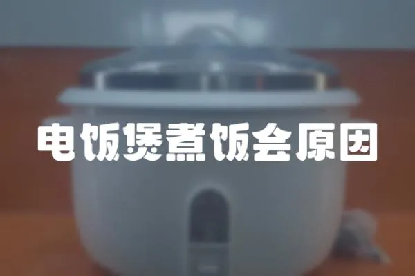 電飯煲煮飯會原因