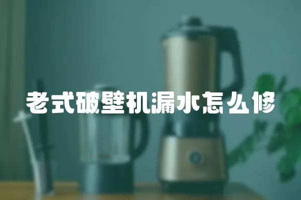 老式破壁機漏水怎么修
