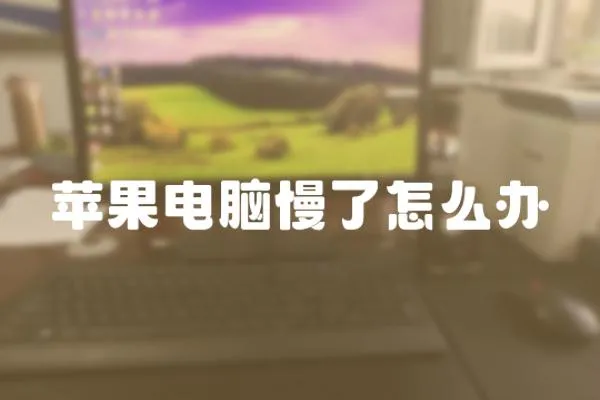 蘋果電腦慢了怎么辦