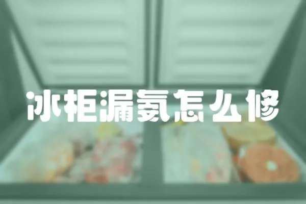 冰柜漏氨怎么修