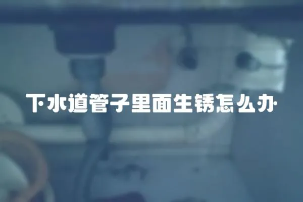 下水道管子里面生銹怎么辦