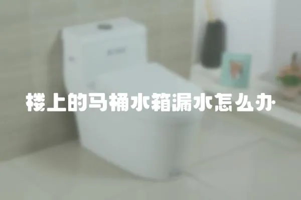 樓上的馬桶水箱漏水怎么辦