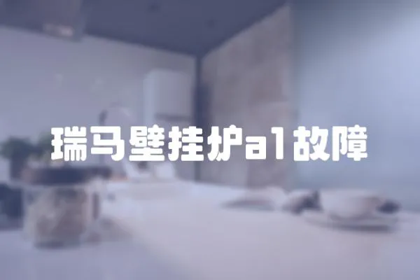 瑞馬壁掛爐a1故障