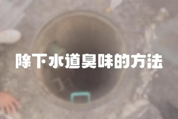 除下水道臭味的方法