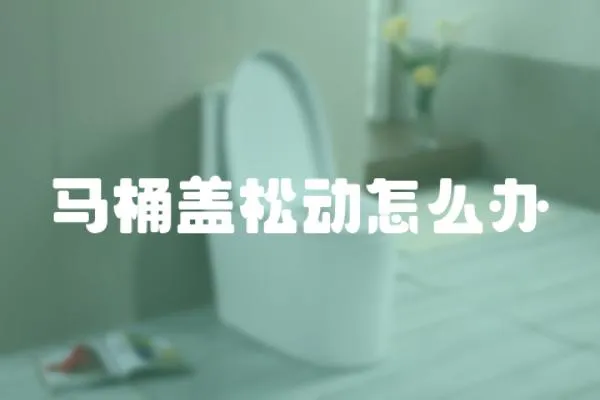 馬桶蓋松動怎么辦