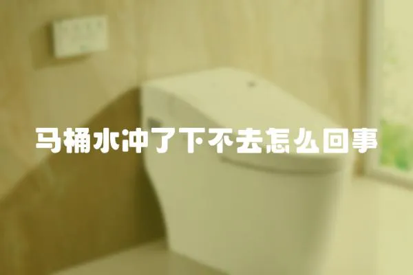 馬桶水沖了下不去怎么回事