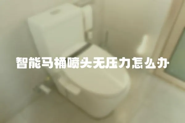 智能马桶喷头无压力怎么办