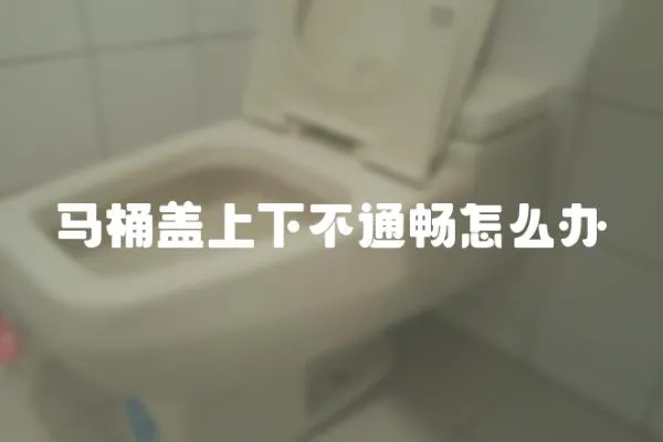 馬桶蓋上下不通暢怎么辦