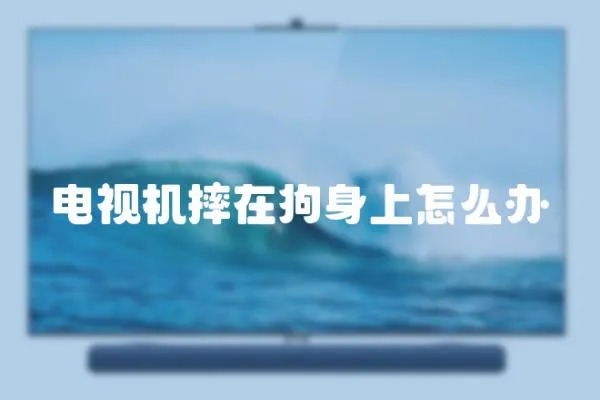 電視機摔在狗身上怎么辦