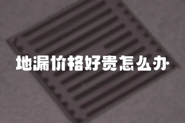 地漏價(jià)格好貴怎么辦