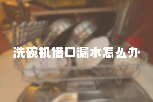 洗碗機借口漏水怎么辦