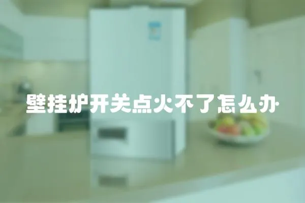 壁掛爐開關點火不了怎么辦