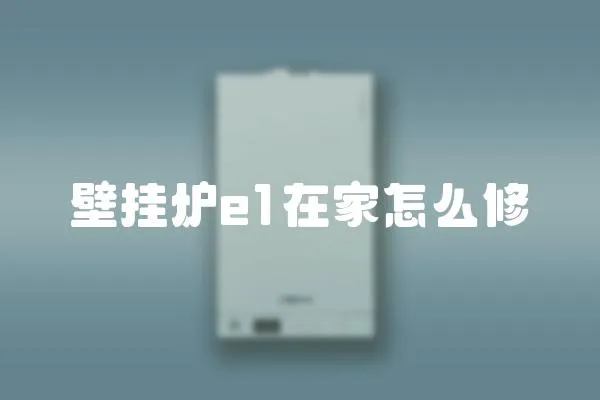 壁掛爐e1在家怎么修