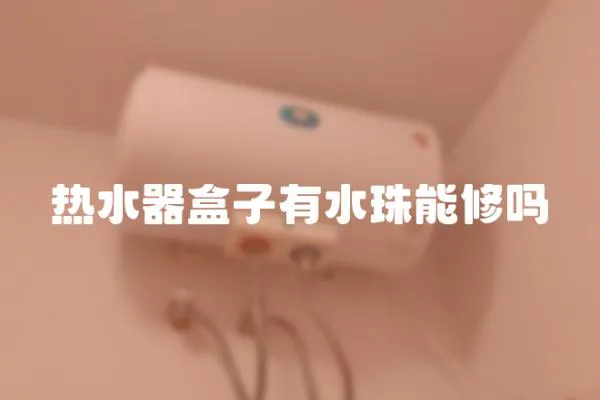 熱水器盒子有水珠能修嗎