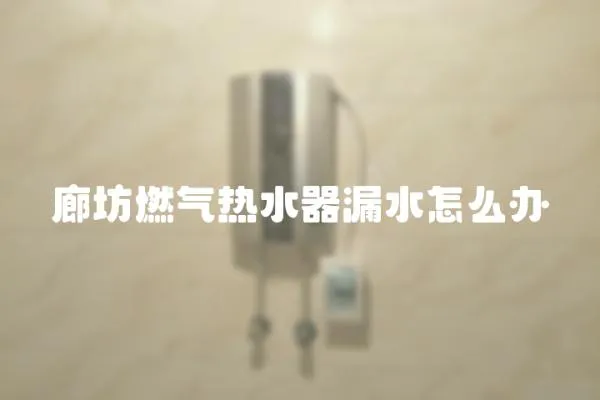 廊坊燃氣熱水器漏水怎么辦
