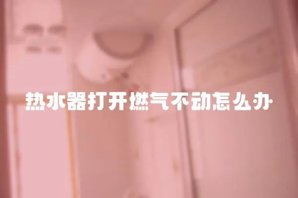 熱水器打開燃氣不動怎么辦