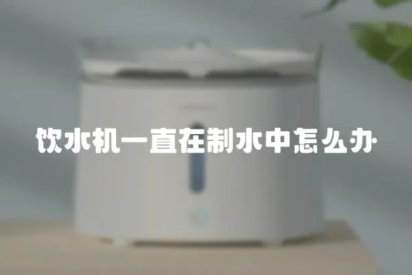 飲水機(jī)一直在制水中怎么辦