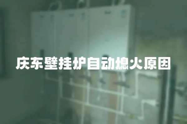 慶東壁掛爐自動熄火原因