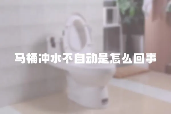 馬桶沖水不自動是怎么回事