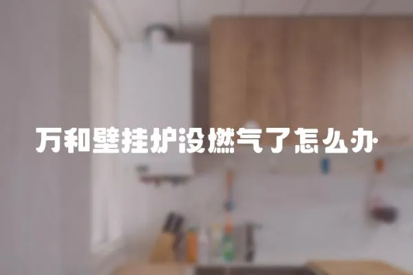 萬和壁掛爐沒燃氣了怎么辦
