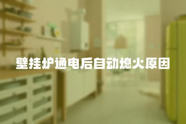 壁掛爐通電后自動熄火原因