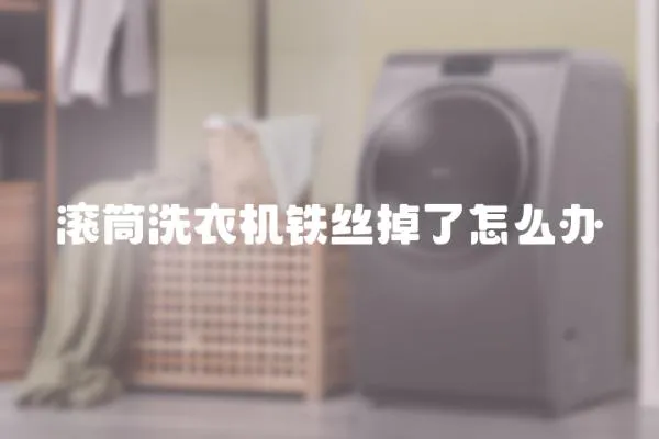 滾筒洗衣機(jī)鐵絲掉了怎么辦