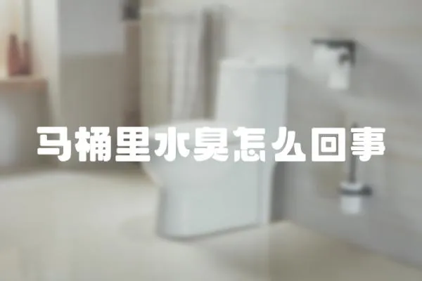 馬桶里水臭怎么回事
