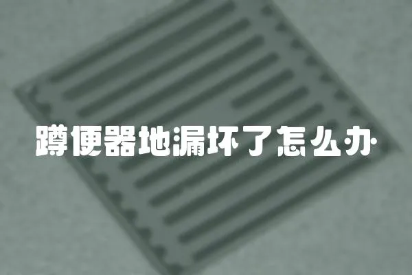 蹲便器地漏壞了怎么辦