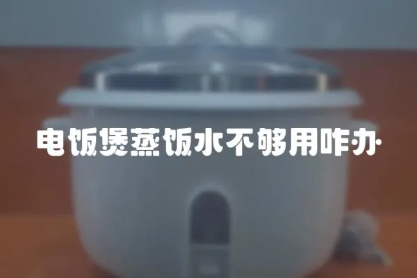 電飯煲蒸飯水不夠用咋辦